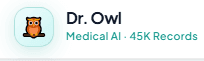 Dr. Owl: High-Speed Medical RAG AI