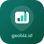 GeoBiz Analytics