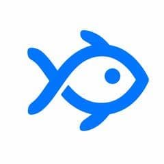 MiroFish