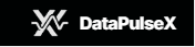 DataPulseX